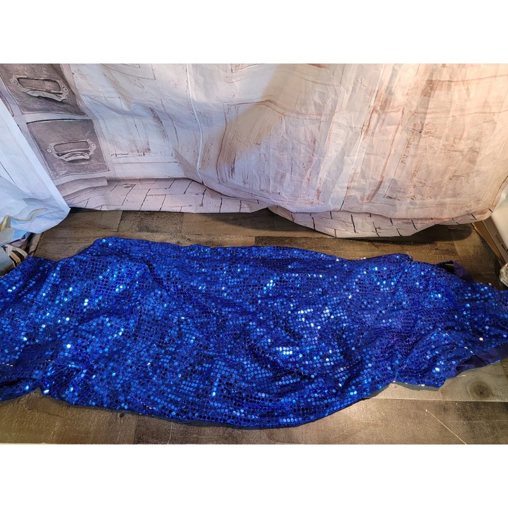 Blue Roberta sequin‎ dress prom formal